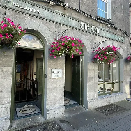 Hotel Hallahan'S Ballina (Mayo)